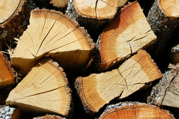 Logs detail - great background