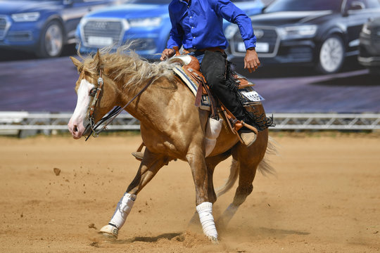 A front view of a rider twisting the horse on the spot on the sandy field 
