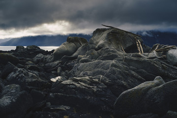 Rocky Shore with Driftwood on Stormy Day, Haines Alaska 