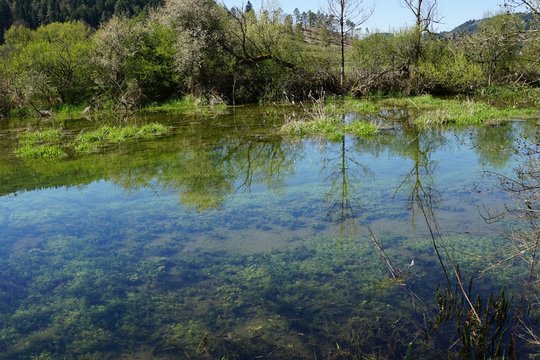Donau in Fridingen