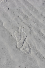 Fototapeta na wymiar foot prints in the sand at Siesta Key beach, Florida