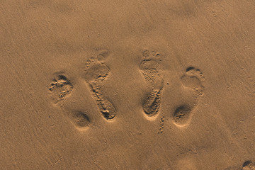 Fototapeta na wymiar footprints in the sannd.