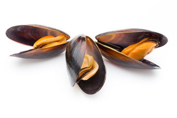 Mussels isolated on white background. Sea food. © gitusik