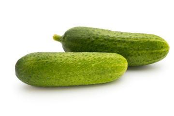Eco cucumber on white background. Fresh vegetables.