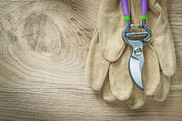 Leather protective gloves pruning shears on wooden board agricul