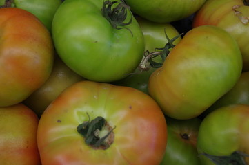 Tomaten in Lissabon