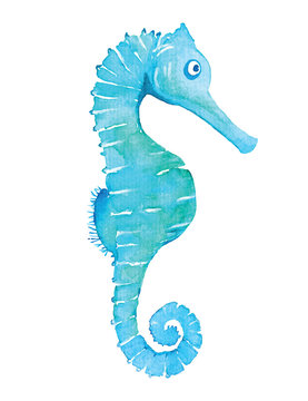 Watercolour Seahorse Isolated On White