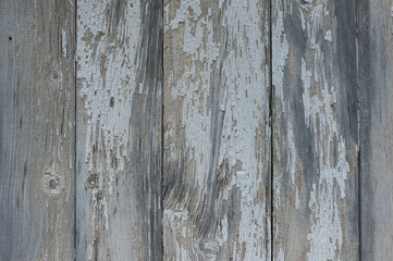 Detail of weathered wood
