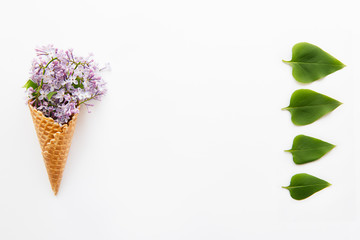 Close up Bouquet of purple lilac flowers in the waffle cone and raw of green leafs on the white background. Top view. Flat lay. Space for text. Selective focus