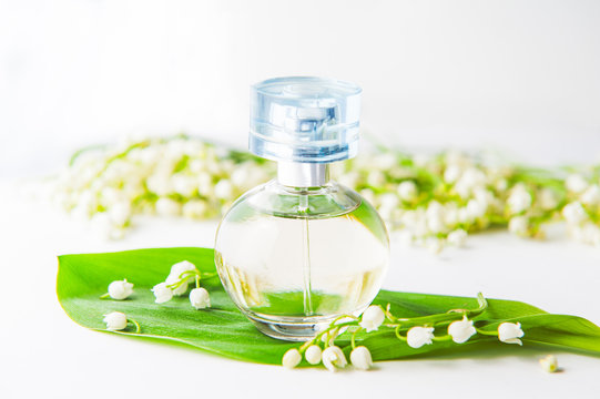 Close up Orbicular perfume bottle surrounded by fresh lilies of the valley, may-lily flowers and green leaf on the white background. Beauty concept. Selective focus