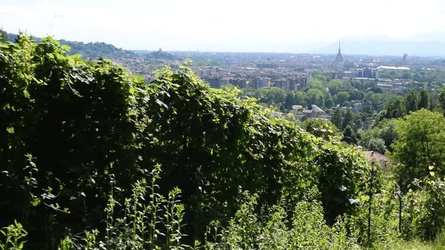 Superga Dentiera train Turin