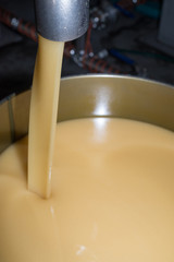 Honey is poured into a metal barrel at a factory. Bulk honey production. Honey production. Honey processing at a plant