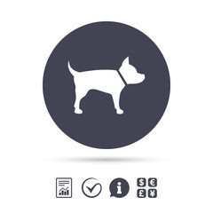 Dog sign icon. Pets symbol.