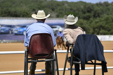 Plakat View on the backs of judges with a rider on a background