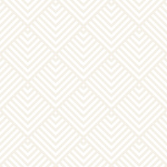 Stylish Lines Lattice. Ethnic Monochrome Texture. Abstract Geometric Background Design. Vector Seamless Subtle Pattern.