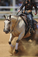 Fototapeta premium The front view of a rider in cowboy chaps and boots sliding the horse in the sand