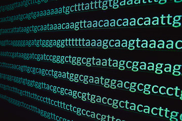 Sequencing of the genome.