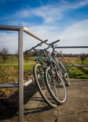 Naklejka premium Two bikes