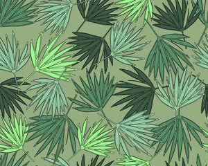 Tropical seamless pattern with exotic palm leaves. Vector illustration.