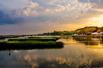 Obraz premium marsh living