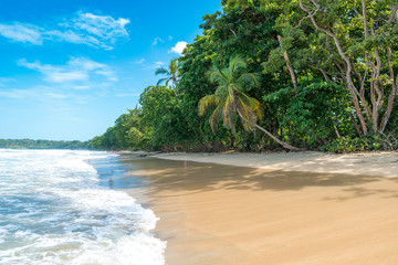 Obraz premium Cahuita - National park with beautiful beaches and rainforest in Costa Rica