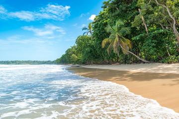 Cahuita - National park with beautiful beaches and rainforest in Costa Rica