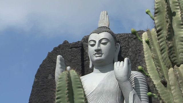 Cactus and white buddha