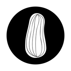 cucumber fresh vegetable icon vector illustration design