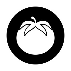 tomato fresh vegetable icon vector illustration design