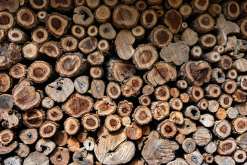 Cross Sectional Wooden Background,Different sections of the tree.Pile of chopped fire wood prepared for winterCutting wood is arrange to be the natural wall at farm in Thailand,selective focus