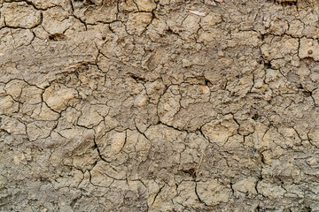 Crack dry soil