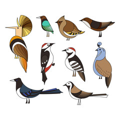 Birds set. Lined vector collextion. © Drekhann