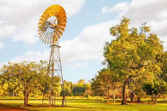 Windmills are gold in the Outback! Litchfield National Park, NT, Australia.