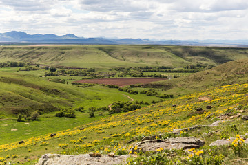 Fototapeta na wymiar Spring Landscape in Montana