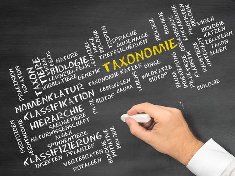 Taxonomie