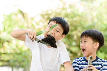 Boy play with plant