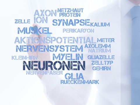 Neuronen