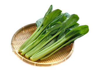 小松菜　白バック
