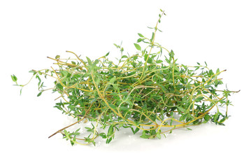 Thyme isolated on white background.