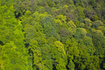 view from the cabin cable car