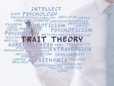 Trait Theory