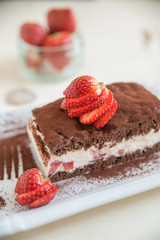 Erdbeer Quark Schoko Schnitte 