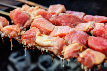 Pork shashlik on skewers