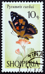 Fototapeta na wymiar Painted lady, Pyrameis cardui butterfly (Albania 1966)