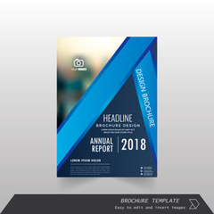 Brochure / Annual Report / Cover design vector