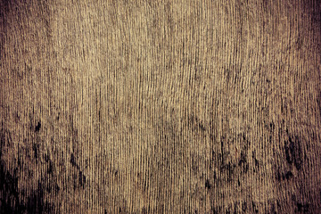 wood grungy background with space for your design