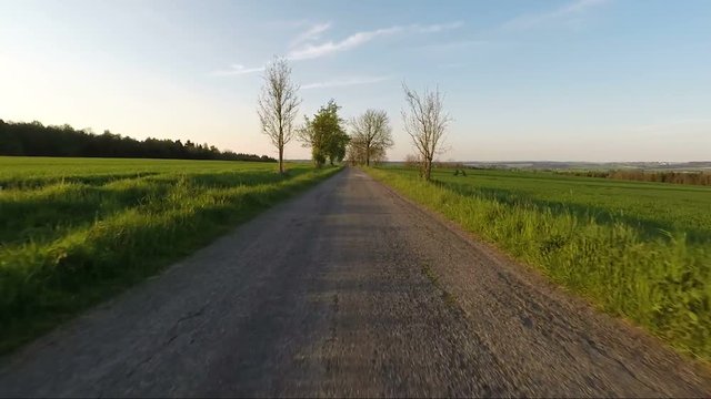 Car driving in evening spring rural countryside road on a sunny day. Landscape with alley of apple flowering trees and blue sky with sunlight, travel and transportation concepts. 60 FPS POV view