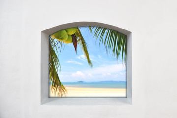 View from clear story window of coconut palm trees with coconuts fruit on tropical beach background  on white wall