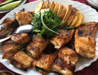 Freshwater Whitefish Coregonus lavaretus