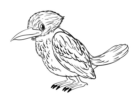recommend clip art: Animal doodle for little bird